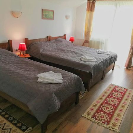 Pensiunea Albina Sinnicoara Номер фото