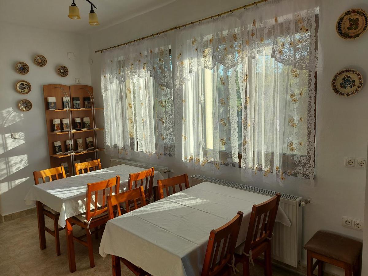 Pensiunea Albina Sinnicoara Экстерьер фото
